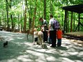 Maj2008 026